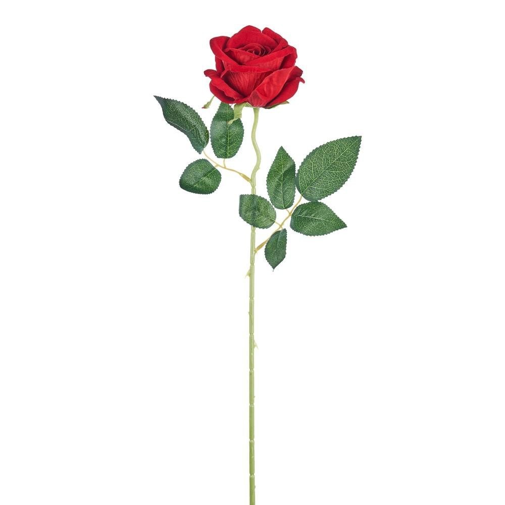 ROSA JULIET ROSSA 50CM